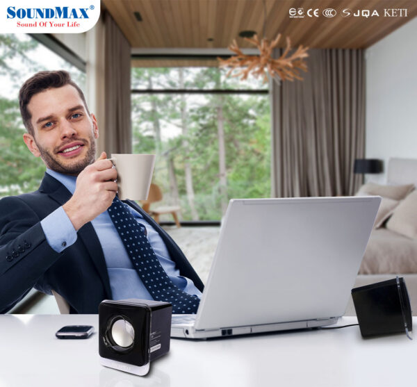 Loa SOUNDMAX A120 - Hình ảnh 2